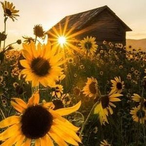 Meet your Posher, Kianna